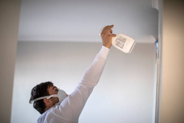 Best Home Mold Removal  in Five Corners, WA