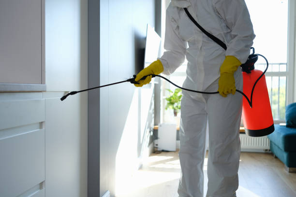 Best Mold Remediation  in Five Corners, WA