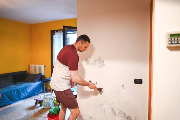 Best Mold Removal Company Near Me  in Five Corners, WA